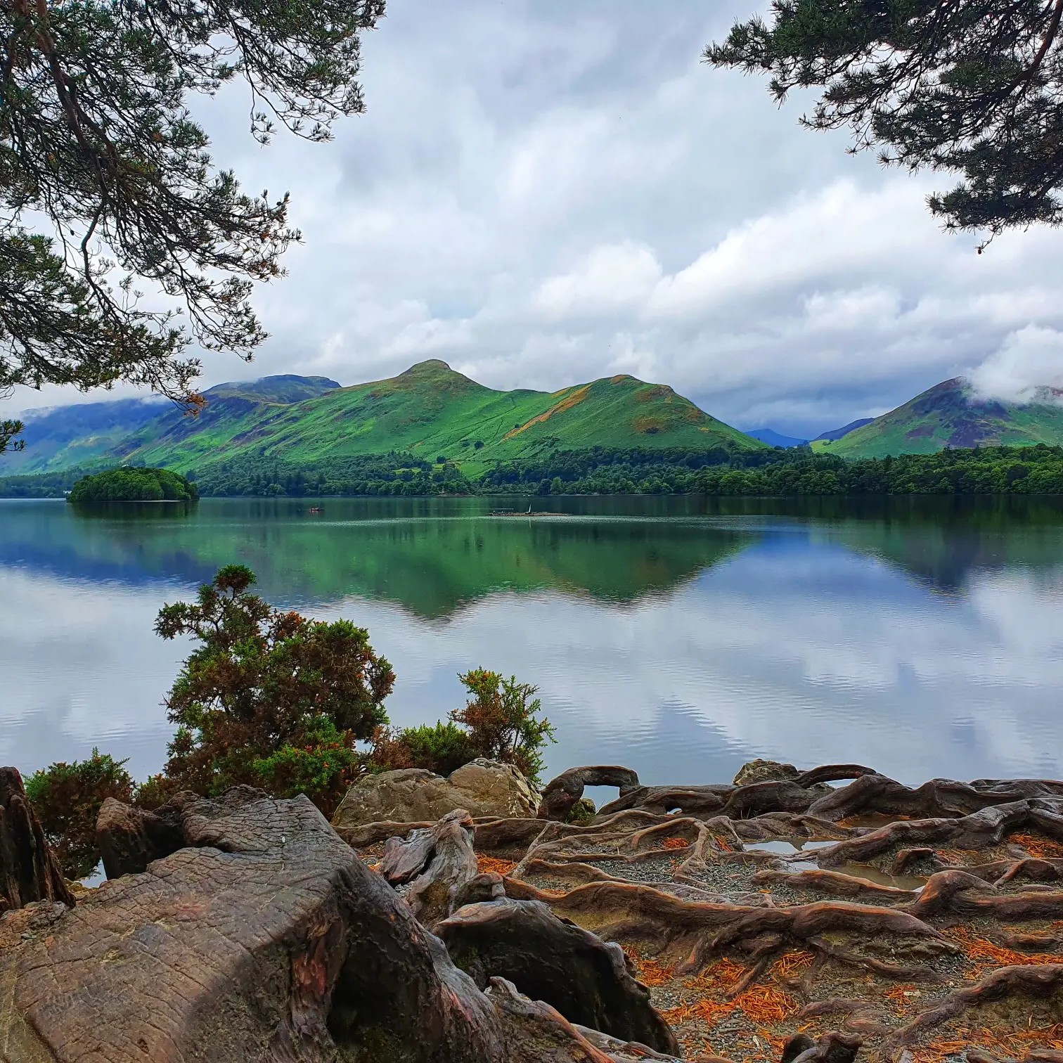 Catbells