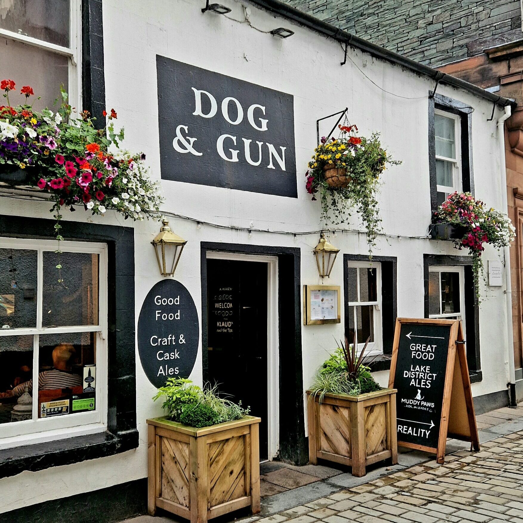 dog & gun